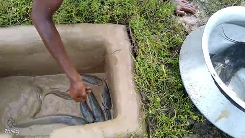 Amazing Hole Fish Trap- Smart Boy Build Fish Trap By Muddy soil ..