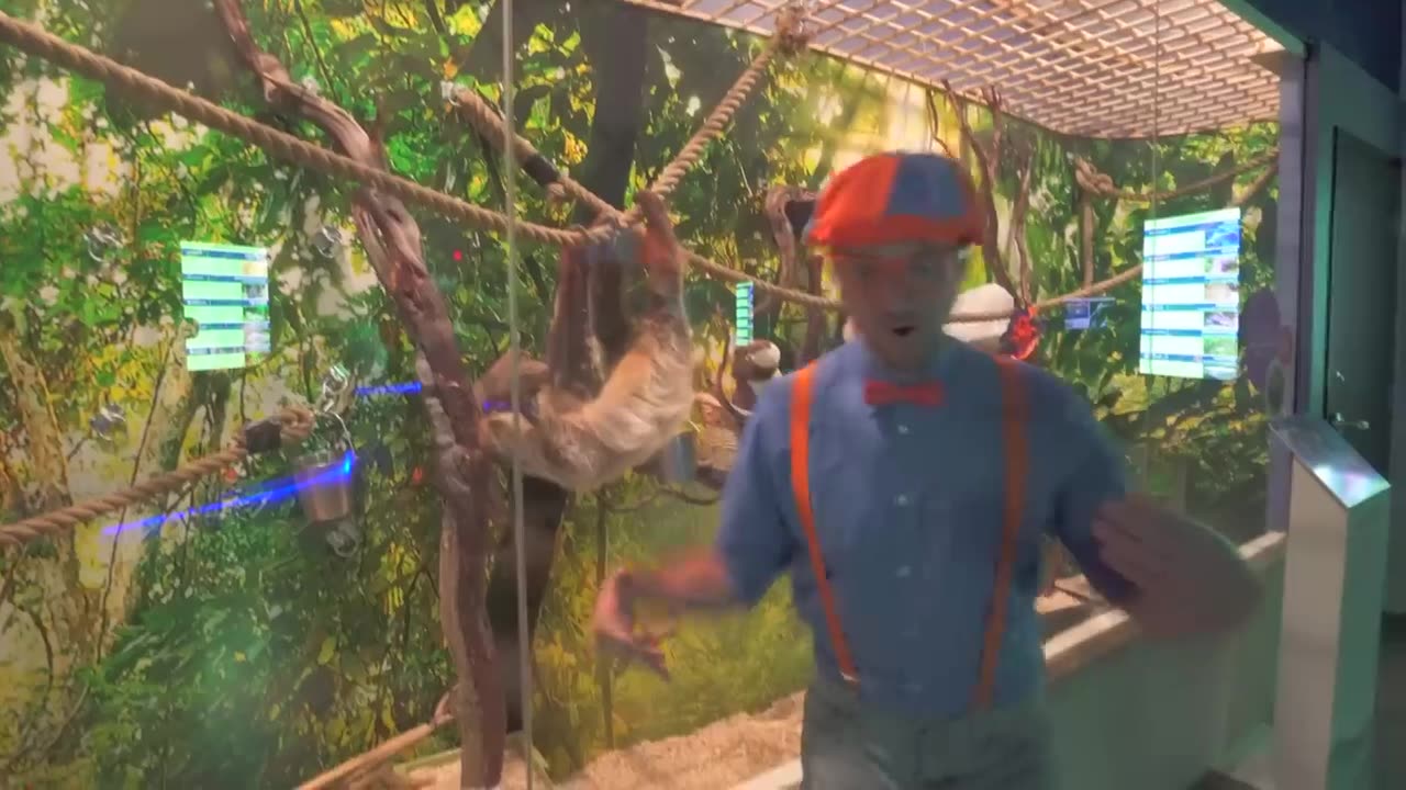 blippi visita UN AQUARIO IN TITALIA