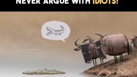 Never Argue with Idiots