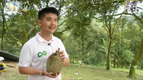 Malaysia feeding China's increasing demand for durians