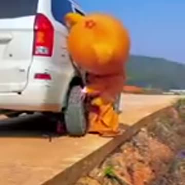 Naughty bear try not to laugh 🤪🤪🤪🤪