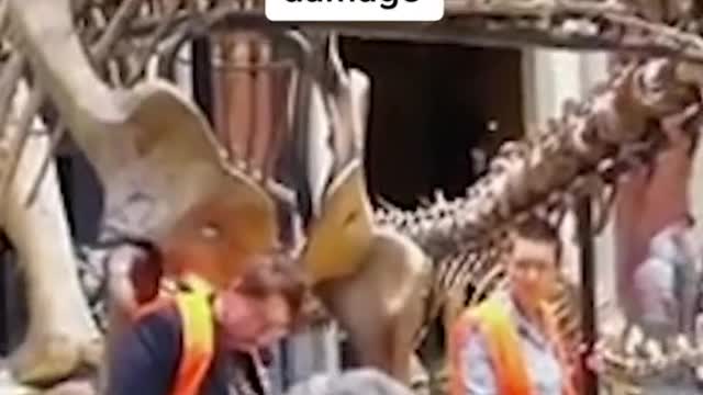 Two women glued themselves to the handrails around a #dinosaur e...