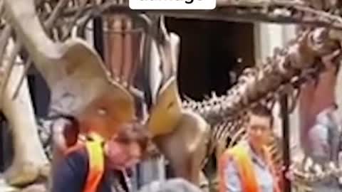 Two women glued themselves to the handrails around a #dinosaur e...