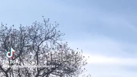 🔴 PIÙ CHIARO DI COSÌ 🤷🏼‍♂️