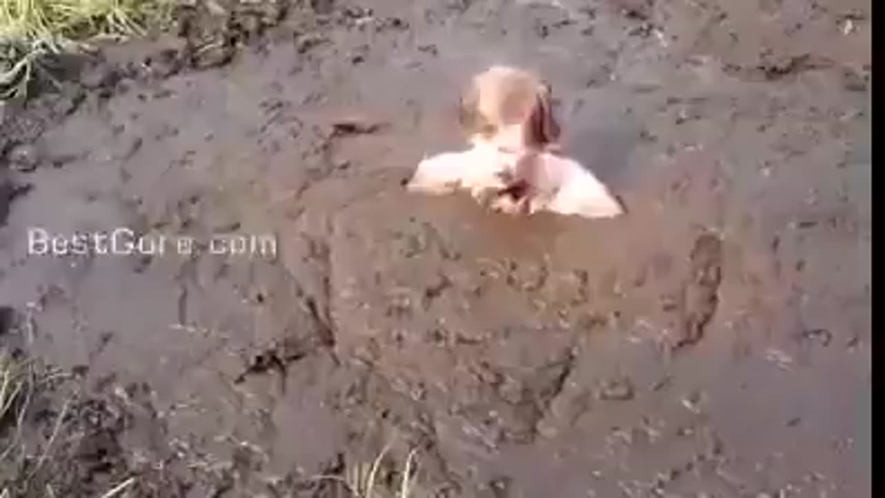 Man Attempts To Film Tutorial On How To Escape Quicksand