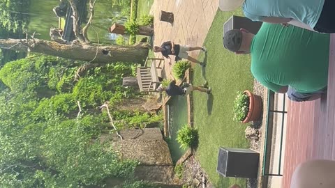 Minnesota Zoo birds show
