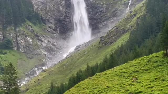 The Joy of Water