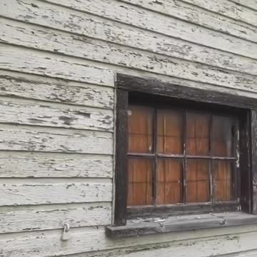 spooky dog a boohuahua #dog#animals #funny #trending #tiktok #shorts #linkinbio #donate