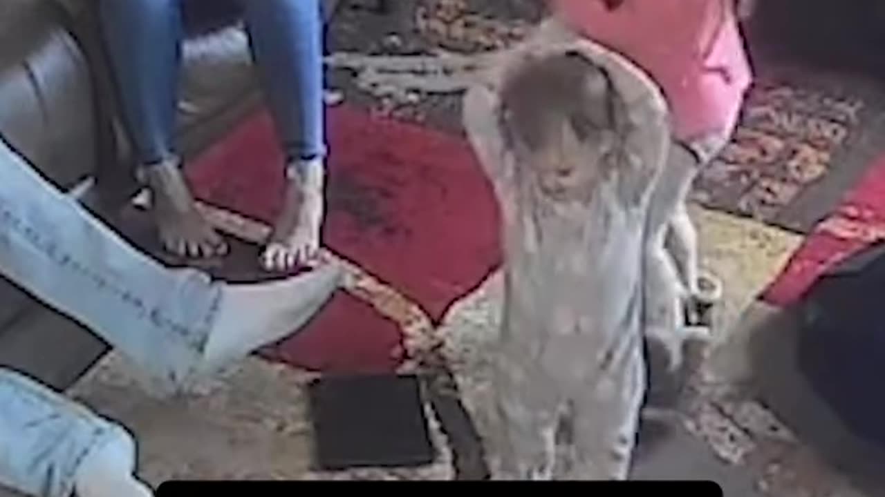 Pops can’t believe what he saw