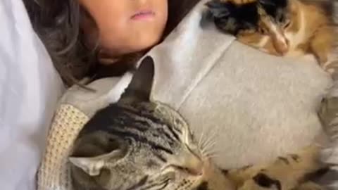 Cat woke up and chose violence !😱😱