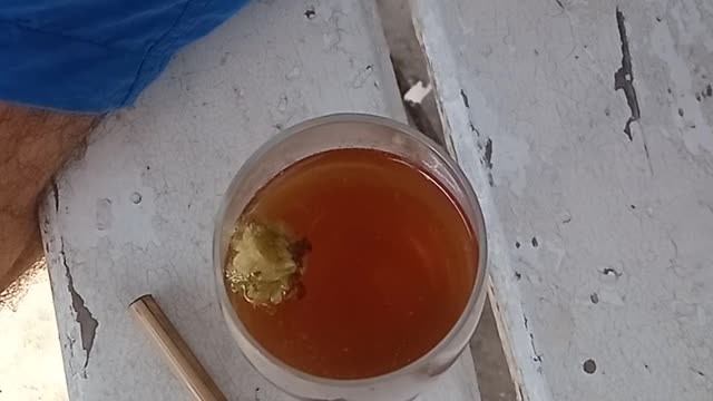 Así se sirve en la planta