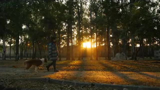 A woman walks through a park with a dog