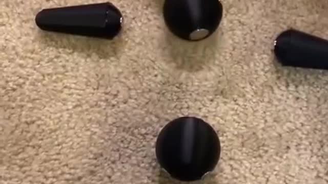 toy