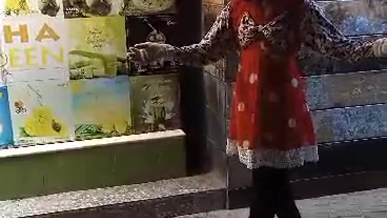 PAKISTANI DESI DANCING MICKEY MICE