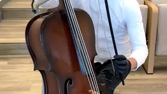 Chocolate Cello!