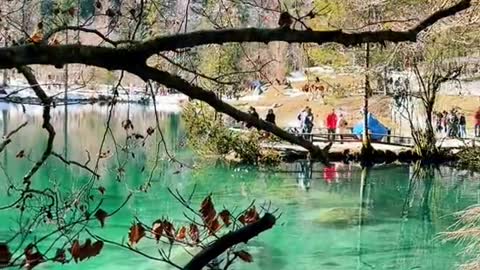 📍Blausee🇨🇭#swissroads