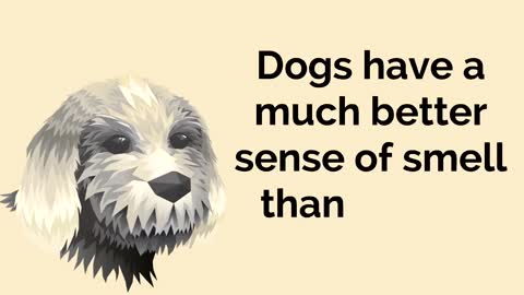 FACTS ABOUT DOGS WE OUGHT TO KNOW.