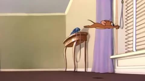 Tom & Jerry l Tom funny carton l Kids carton