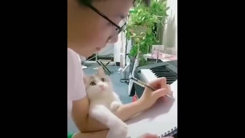Funny animal
