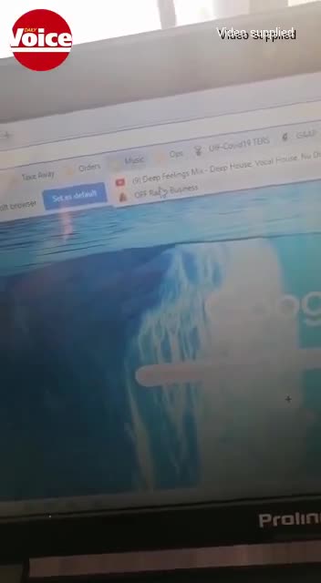 Man accuses Ocean Basket manager of racist slur about his coloured wife