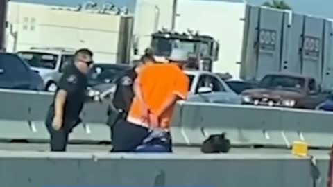 Flashback: Freeway Fight in Riverside, California