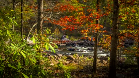 West Virginia - America's Richest State - A Time Lapse Film by Alex Wilson