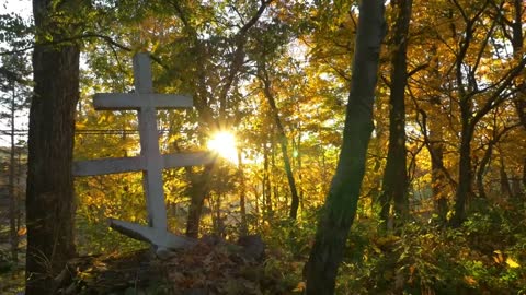 The Beauty Of American Orthodoxy