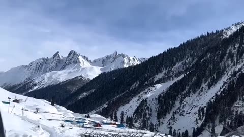 Nature lover 11