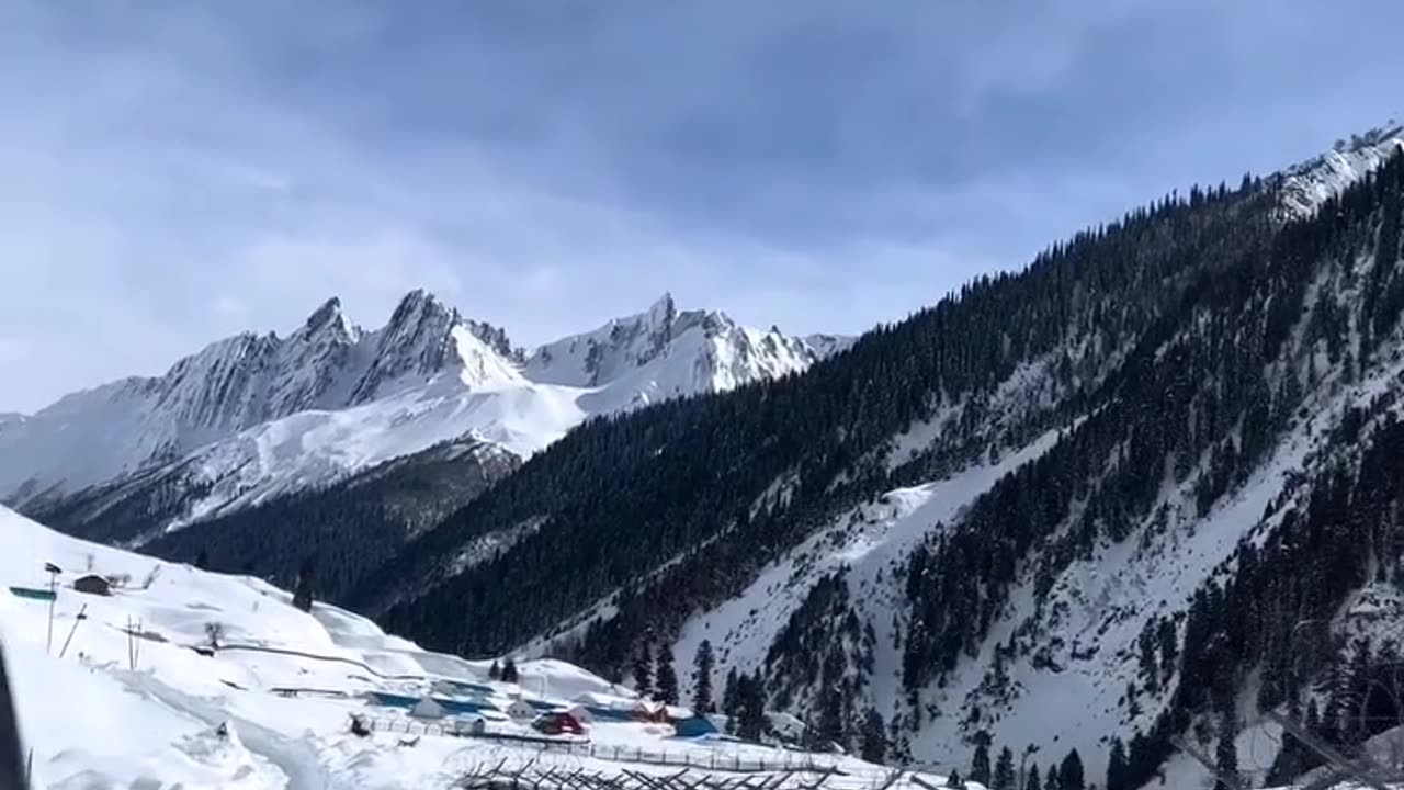 Nature lover 11