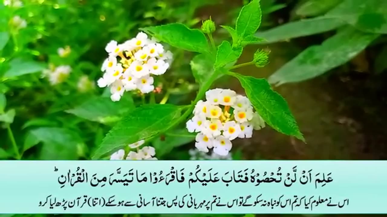 Surah Muzammil with Urdu Translation