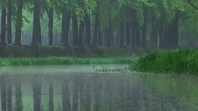 Rain, with a kind of persistence,