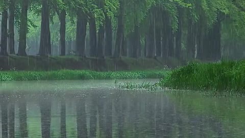 Rain, with a kind of persistence,