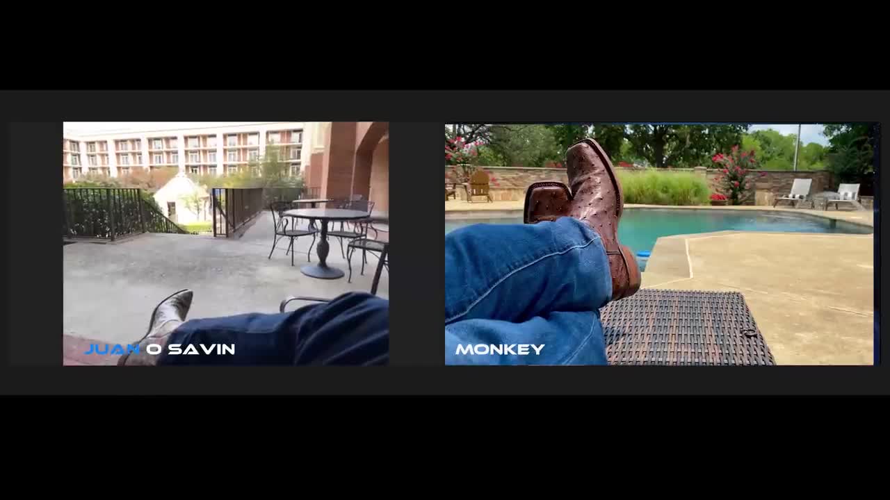 Juan O Savin with Monkeywerx - Observable facts and Juan's Interpretations