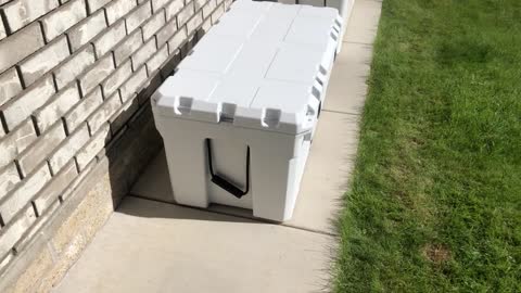 2019 Rokslide Cooler Showdown Day 2!