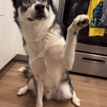 A different kind of hello from Blue