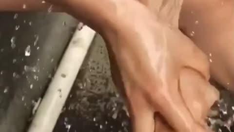 Pieces soap Paper