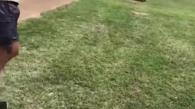 Got hit on the head