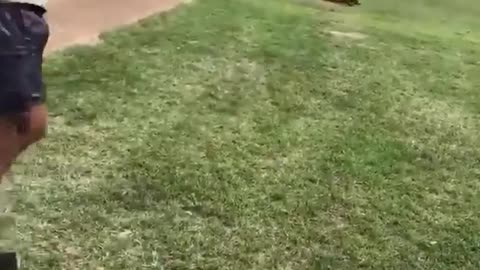 Got hit on the head