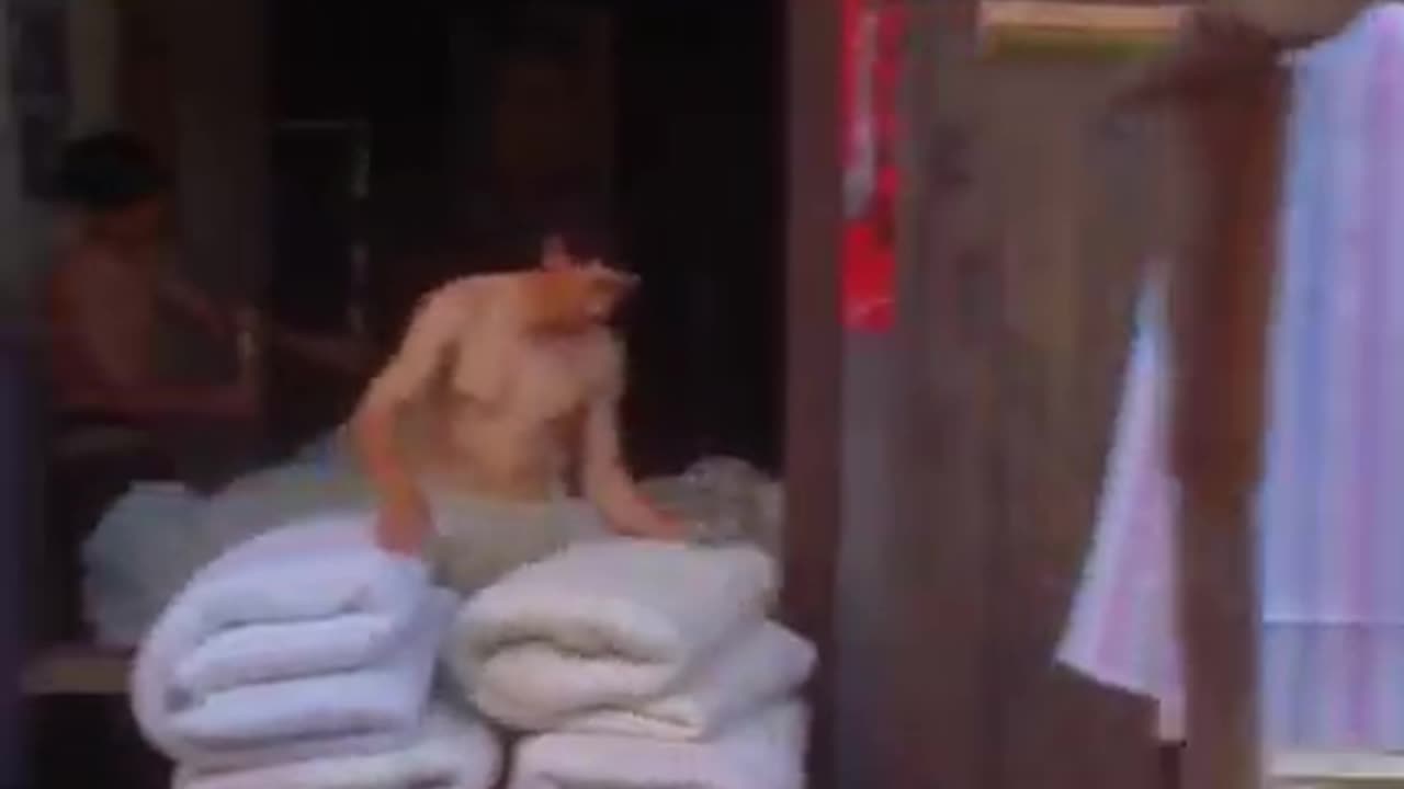 kung fu funny clip