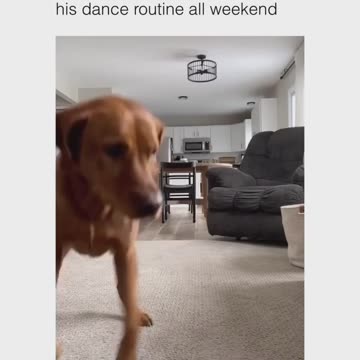 nice routine ricky😂