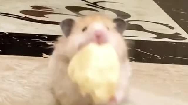 😅