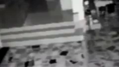 robo