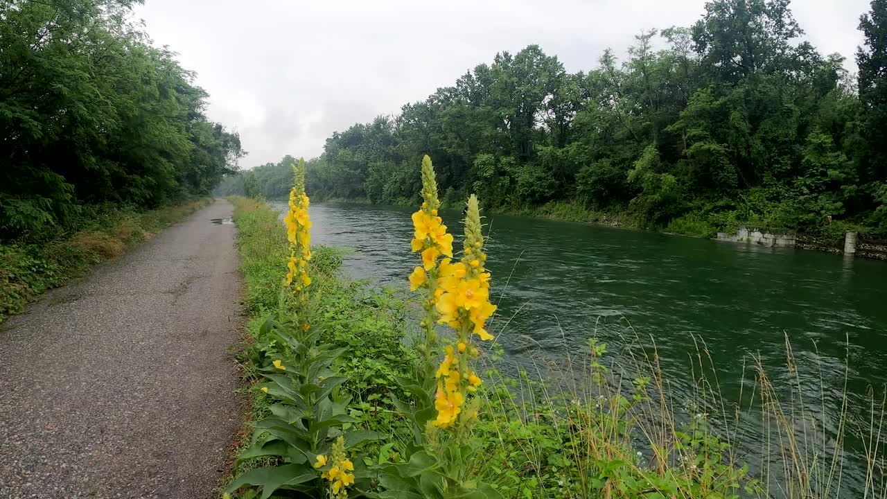 River Water Rain Clouds Nature Wind Sky Animals