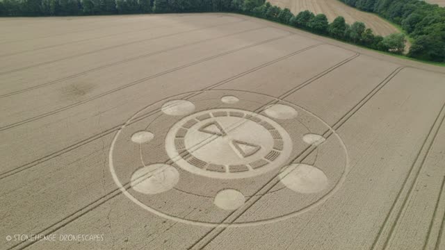 New Crop Circle | Spiers Lane Nr Alresford, Hampshire | 01/08/2021