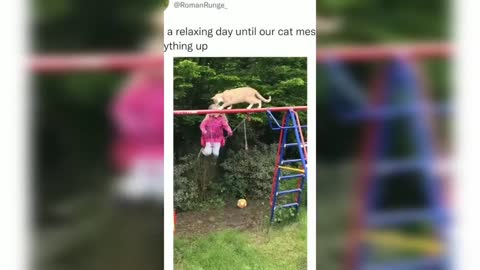 Funniest Animals 2022😂 Funniest Cats and Dogs 😺🐶Part 01 _ Animals world@Pets Family