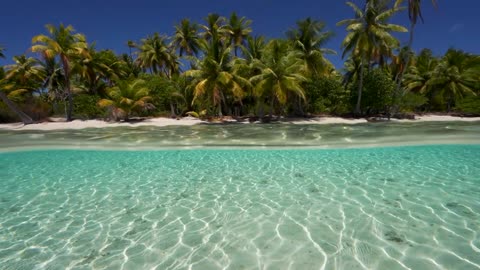 Nuestras playas de Isla Saona vip