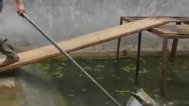 Gr liton best fun TV, Funny Video Clips # - 51
