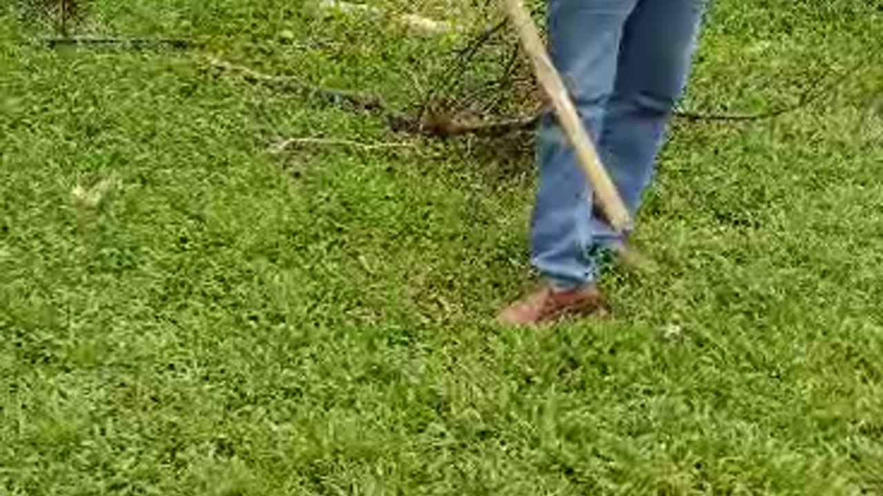 Snake catching videos in Bangladesh sylhet.