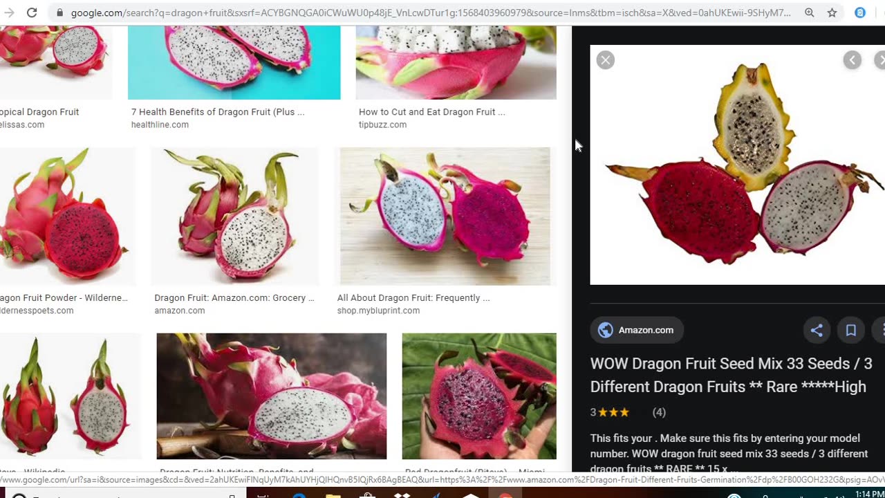 DRAGON FRUIT DECEPTION(September, 2019)