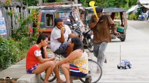 funny videos